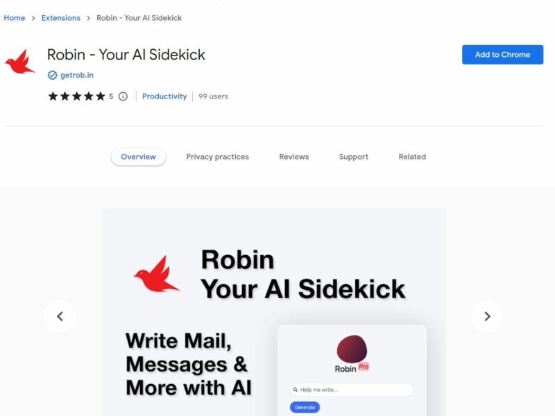 Robin - Your AI Sidekick